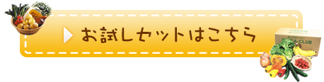 送料無料お試しセットはこちら