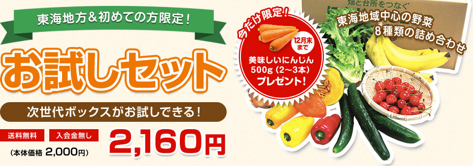 お試しセット 美味しいにんじん500g（2～3本）プレゼント!