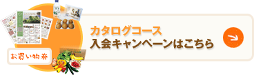 カタログコース入会キャンペーンはこちら