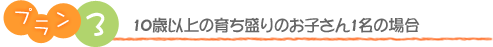 プラン3　10歳以上の育ち盛りのお子さん1名の場合