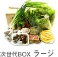 次世代BOX　ラージ