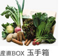 産直BOX 玉手箱